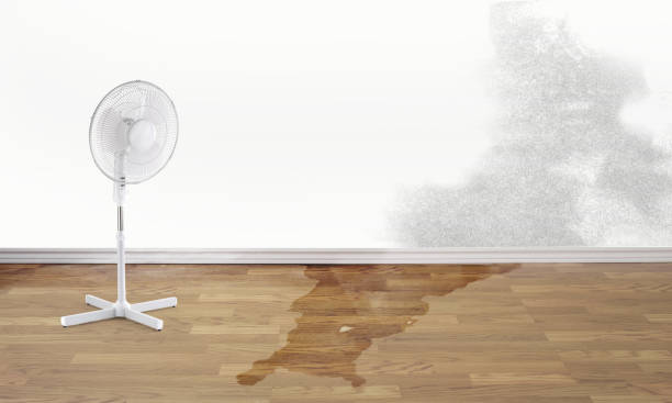 Best 24-hour water damage restoration  in Seaside, OR