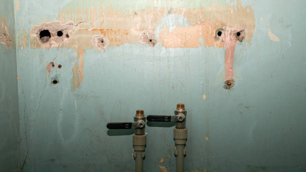 Best Mold removal after water damage  in Seaside, OR
