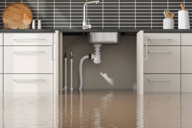 Best Professional water damage repair  in Seaside, OR