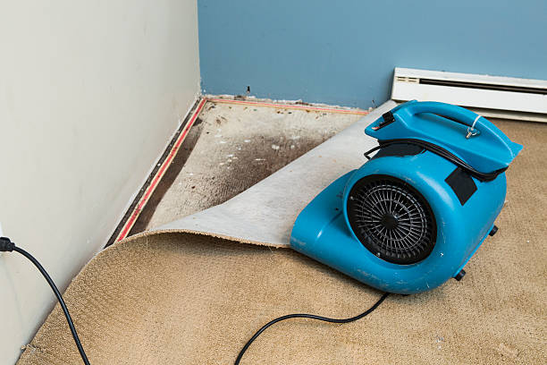 Best Flood restoration services  in Seaside, OR